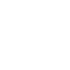 Customized Payroll